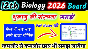 शुक्राणु की संरचना🔥 | Structure of Sperm in hindi | shukranu ki sanrachna | 12th Biology Imp Topics