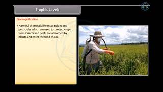 Our Environment | Science class 10 chapter 15 | 10th science chapter 15