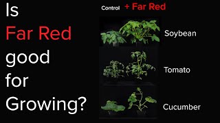 Is Far red light good for plants