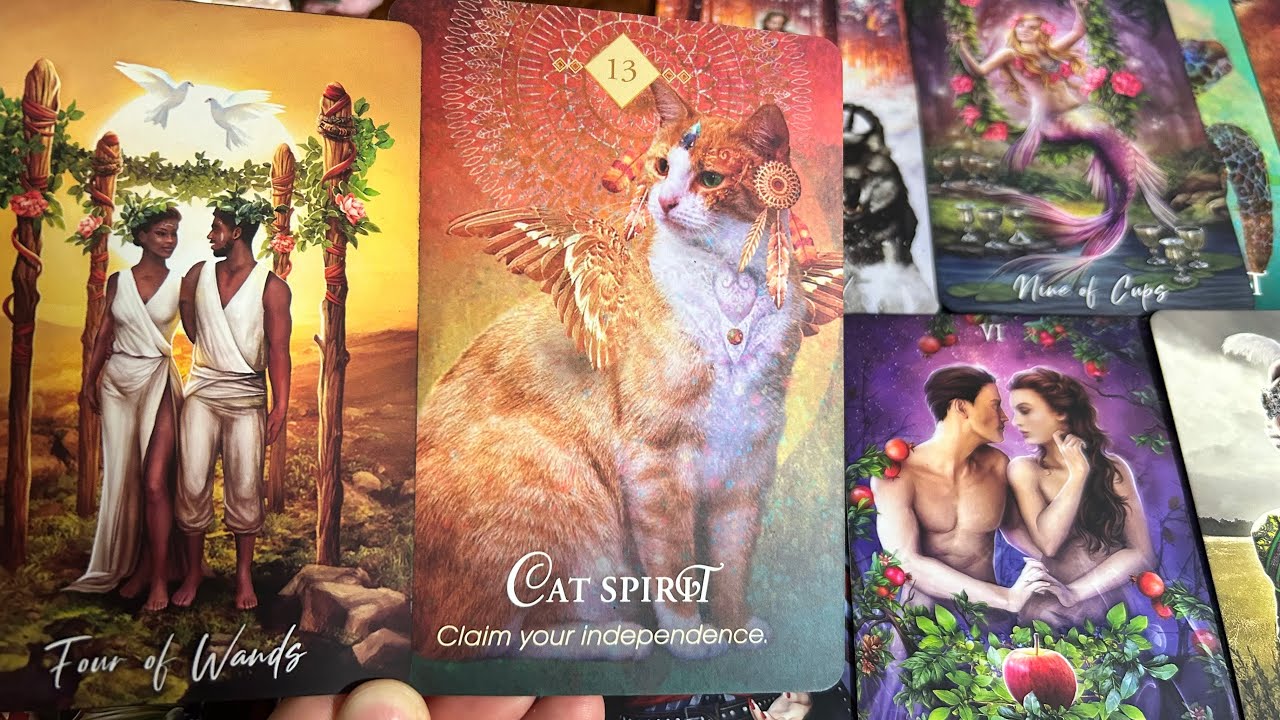 จักรวาลจะให้คุณรวยเหลือเฟือ!..จิตอิสระเหนือการเล่นงานของพลังมืด!💍👩‍❤️‍👨🏡💞🌳🍀🍇#random 