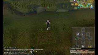 RuneScape - Ranarr Farming Guide