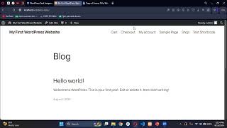 10pm-11pm (PKT) |  Wordpress Plugin Development | Web Development Crash Course | Week 06 | Day 04 |