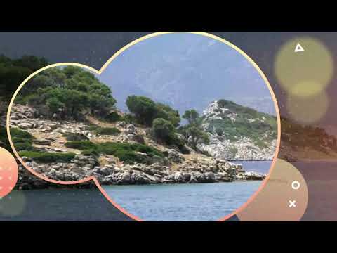 لا تنجع حالات واتس محمد النصري 