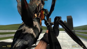 Gmod flight school/insect battle