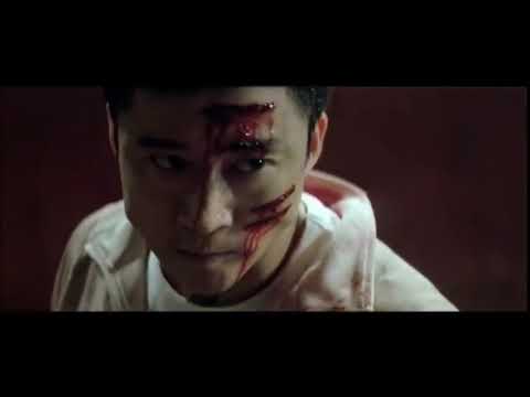 wu jing/fatal contact fight scene compilation😎