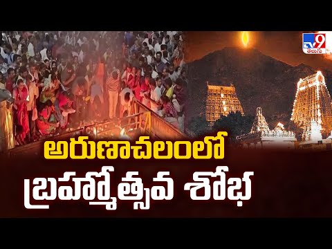 Arunachaleswarar Temple : అరుణాచలం లో బ్రహ్మోత్సవ శోభ - TV9 - TV9