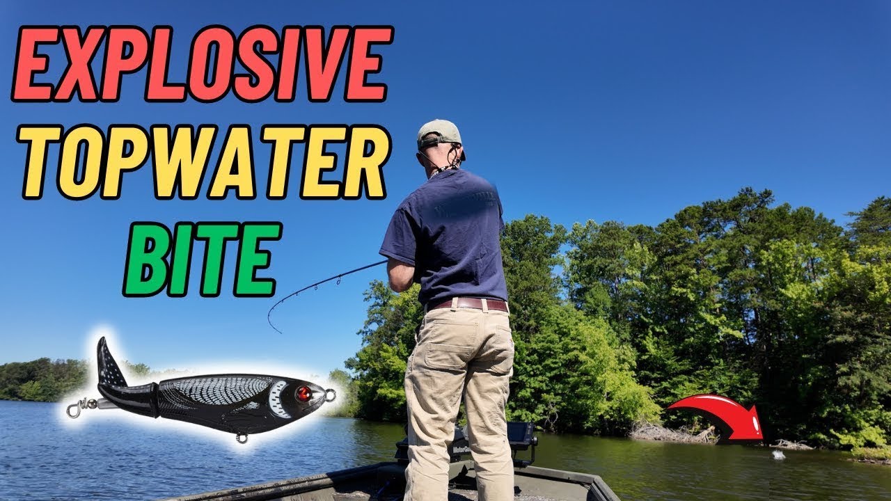 One Way to Catch Big BASS on TOPWATER!!!