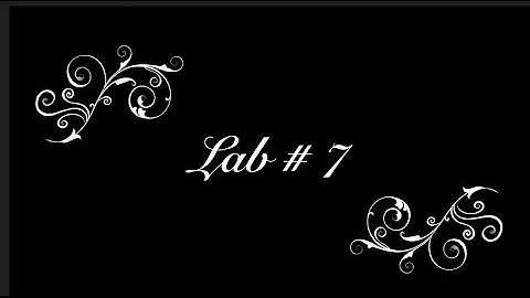 Lab 7