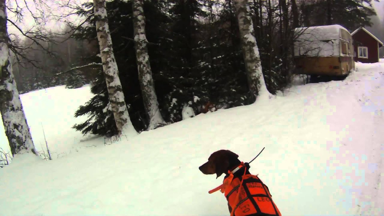 Bröderna Bravader - Räv och mård 2 TRAILER