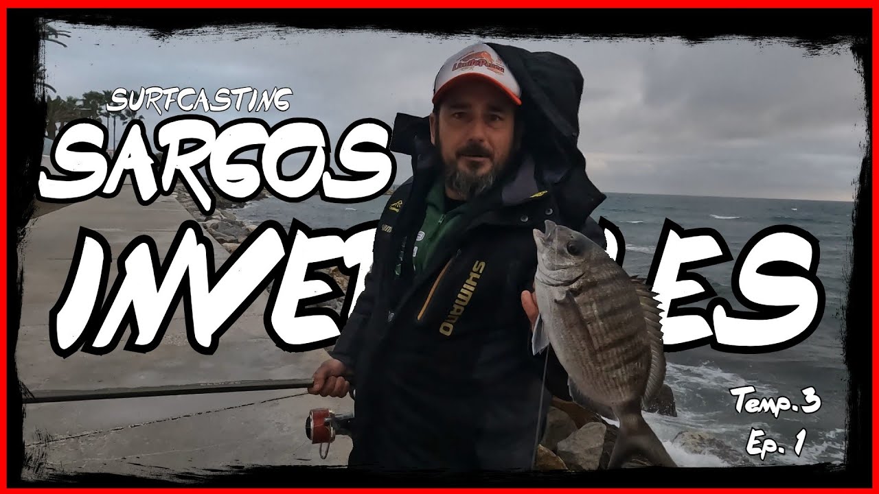 🎥 SurfCasting  Sargos Invernales - Pesca desde Escollera