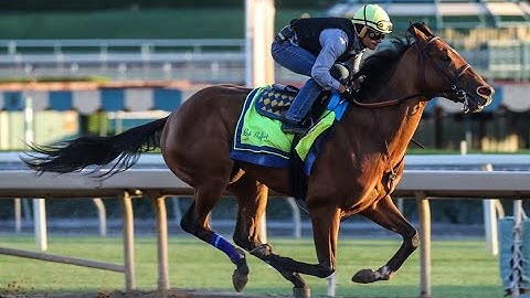 The Belmont Stakes Horses by The Thorograph Numbers and Patterns
