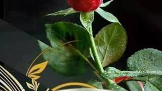 Dilbar Dilbar DJ Aman