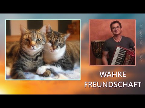 Wahre Freundschaft kann