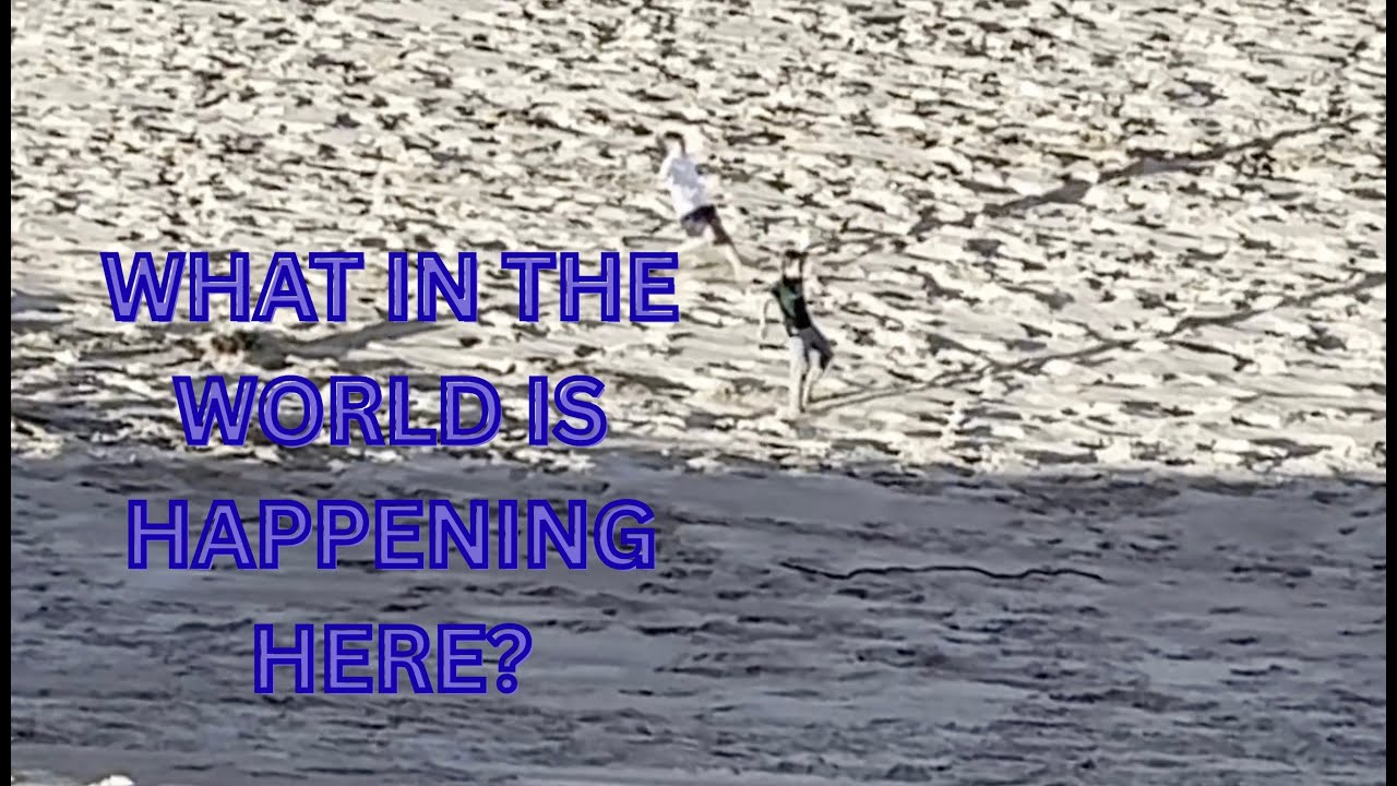 Sometimes playing things in reverse looks AI Generated