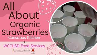 Download Lagu Organic Strawberry Campaign MP3 Download Lagu Organic Strawberry Campaign MP3