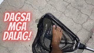 DAGSA ANG DALAG (SNAKEHEAD) SA ANGONO PARK | FISHING W/ NZ ANGLERS