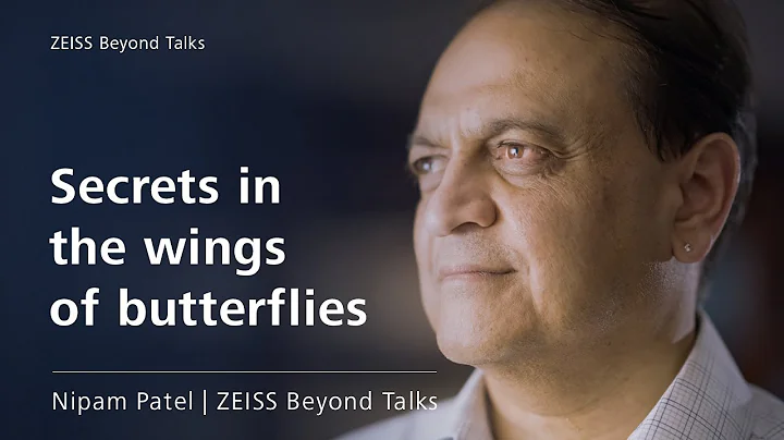 ZEISS Beyond Talks  Biologist Nipam Patel takes us into the fascinating world of genetic research