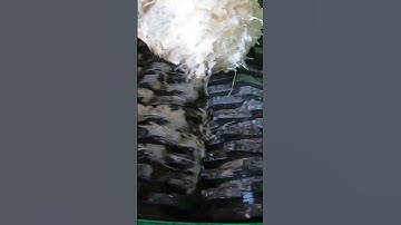 shredder machine shredding coconut #shredder #shredding #machine