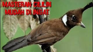 MASTERAN CILILIN TAJAM..mudah di ingat jeda 30 detik