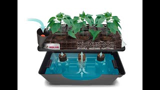Biolan Self watering box and Grow bag - How to use