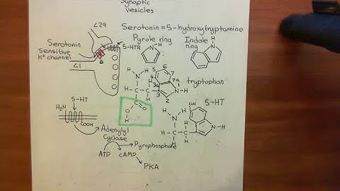 Sensitization Part 4