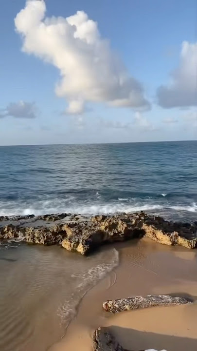 Comiendo rico con vista al mar en Puerto Rico 🇵🇷🌊 #puertorico #caribbeanfood #caribbeantravel