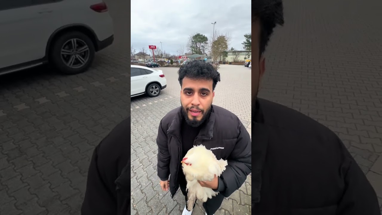 Kennt ihr schon meinen Haushuhn Bokbok? 🐓