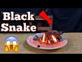 I made a black snake with sugar || চিনির কালো সাপ বানানো | 100% Real ?#youtubevideo 