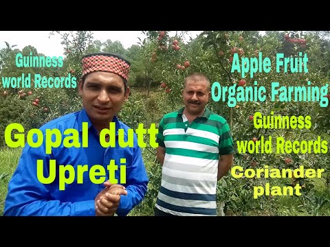 Apple fruits Organic Farming || Guinness world Records || Gopal dutt upreti || Ranikhet/apple fruit.