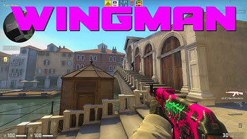 CS:GO Wingman With Speedy!
