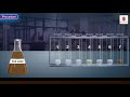 Determination of pH using pH papers or Universal Indicator | Chemistry Experiment | Grade 10