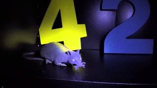 Lockdown Promo Video