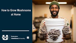 Mushroom Propagation @usuextension