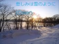 【カバー曲】悲しみは雪のように