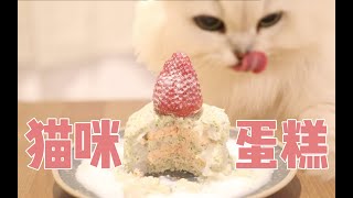 手残也会的万能猫蛋糕做法以后猫生日就这么安排吧