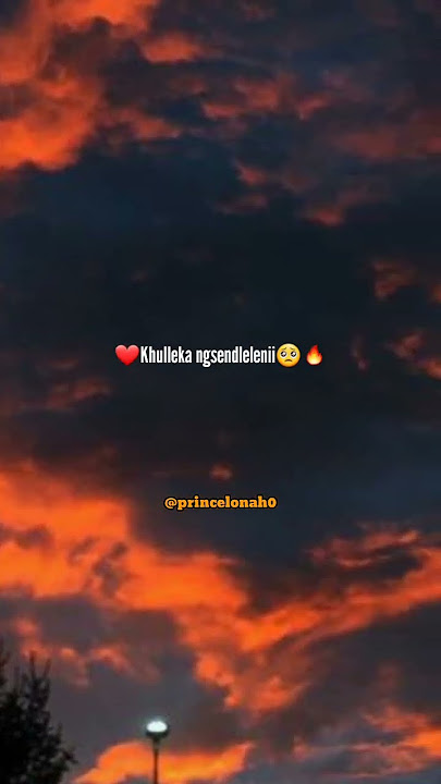 Ngiphuze umdolofiya-Mjolisi.    #maskandi  #ytshorts  #mzansi #tiktokvideo  #lyricvideo