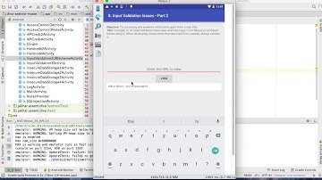 8. Input Validation WebView - DIVA Solution