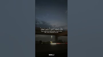سورة غافر القارئ/ ماهر  المعيقلي