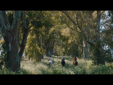 Trailer: Azor