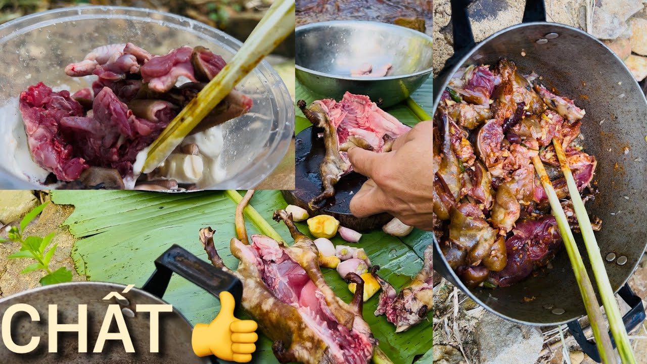 Món Chuột Rừng Thơm Ngon Bổ Béo Trọn Vị 👌