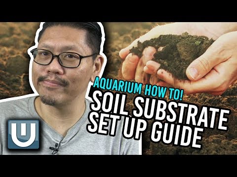 वीडियो: एक्वेरियम के लिए किस मिट्टी का उपयोग करें