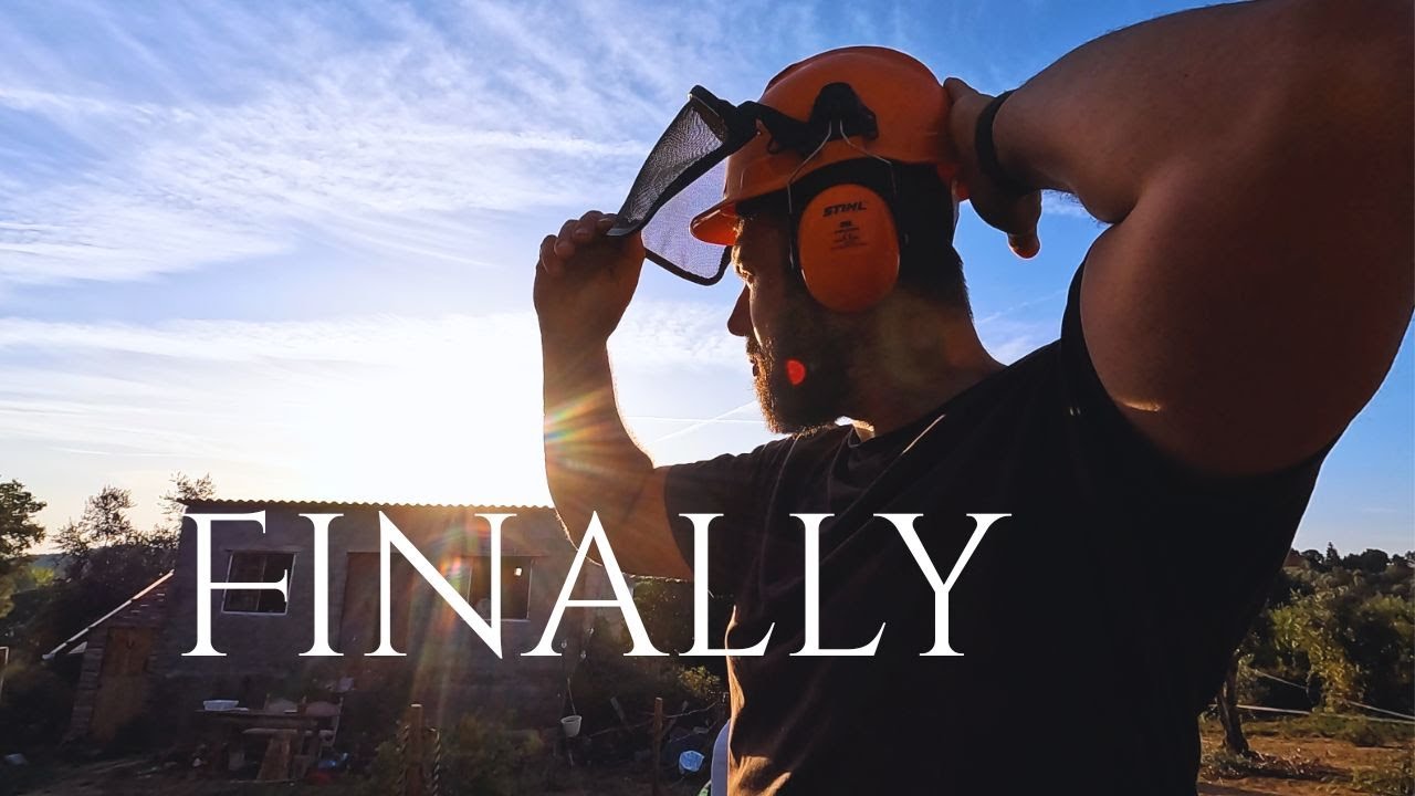 Мы начали строить наш амбар... И тут природа нас удивила!