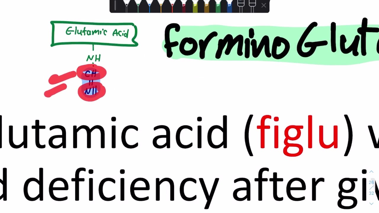 Bio 4B  Basic A A  1