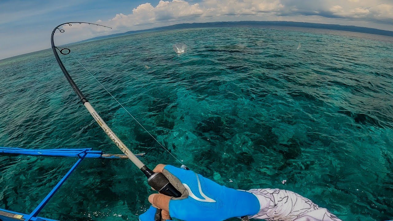#2. SAINGAN NYA SPOT DI PAPUA SARANG IKAN BOBARA | SPOT KARANG DANGKAL YG GAK ADA DI PETA GOOGLE‼️
