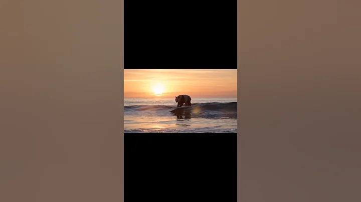 Google VEO 3 – Ultra Realistic AI Video Generator !🤯