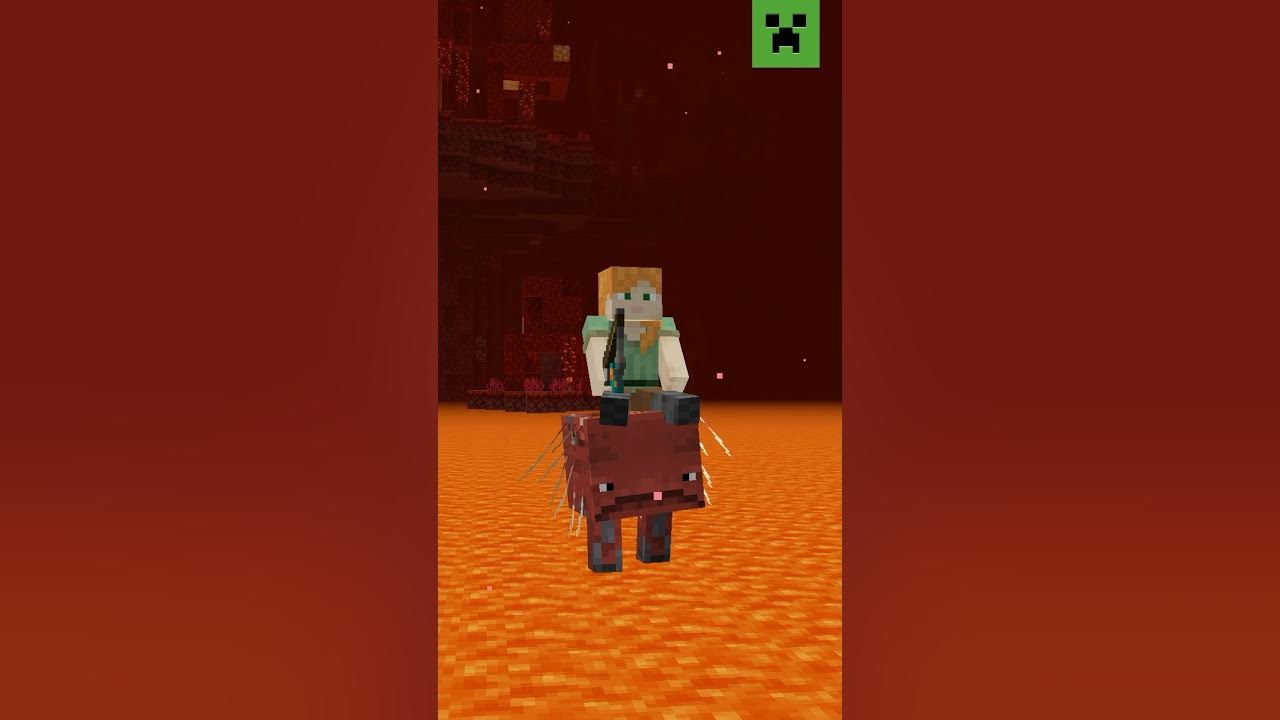 WHAT DO YOU DO IN THE NETHER? YouTube