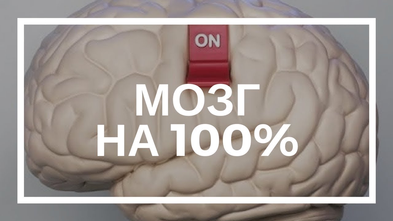 10 процентов мозга. Мозг 100%. Человеческий мозг на 100 процентов. Развить мозг на 100 %. Мозг работает на 100 процентов.