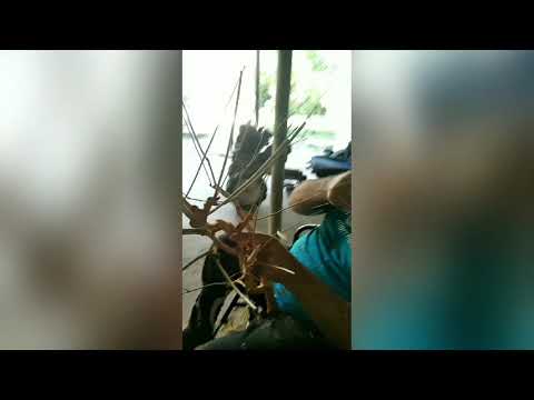 დეკორატიული ნივთი.