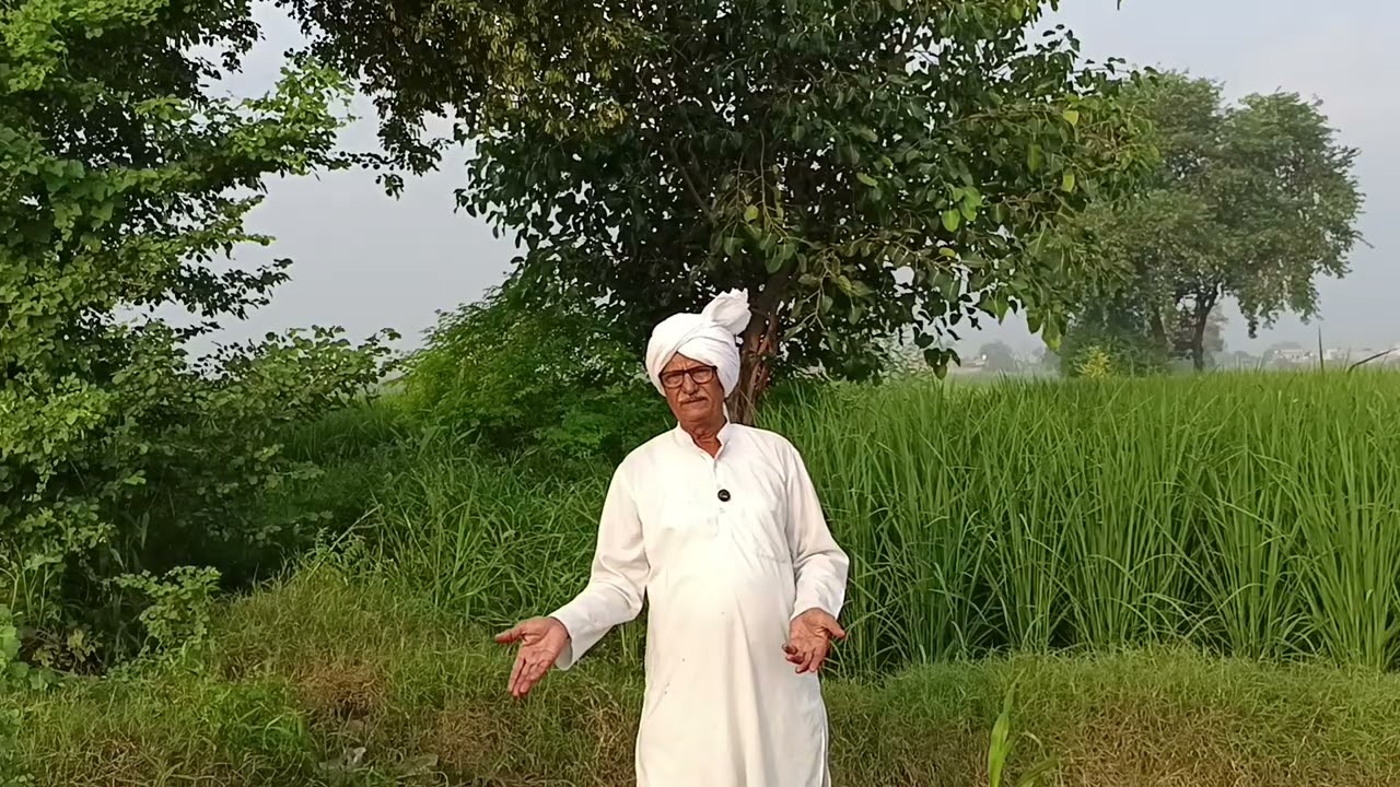 खपर भरणी माँ ने उजाड़ दिया अपने ही बेटी बेटे का घर ऐसी डायन माँ से तो बांज अच्छी अब सड़ रही हैं जेल 