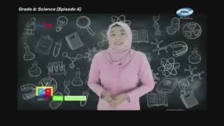 Grade 6 Science Ep4: Identify the Different Types of Colloids